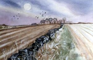 Fields at twilight